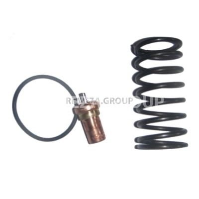 Ремкомплект клапана термостата VTFT45/55 VMC 2701495 фото